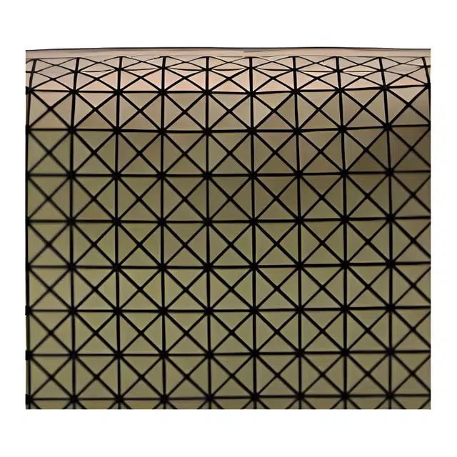 ISSEY MIYAKE Kuro