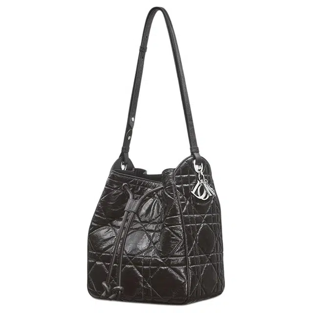 DIOR D-Motion