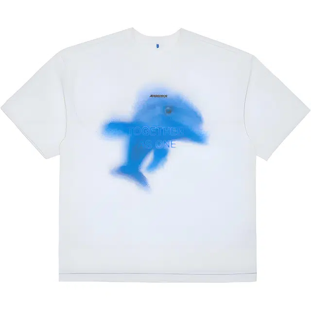 ADER ERROR T