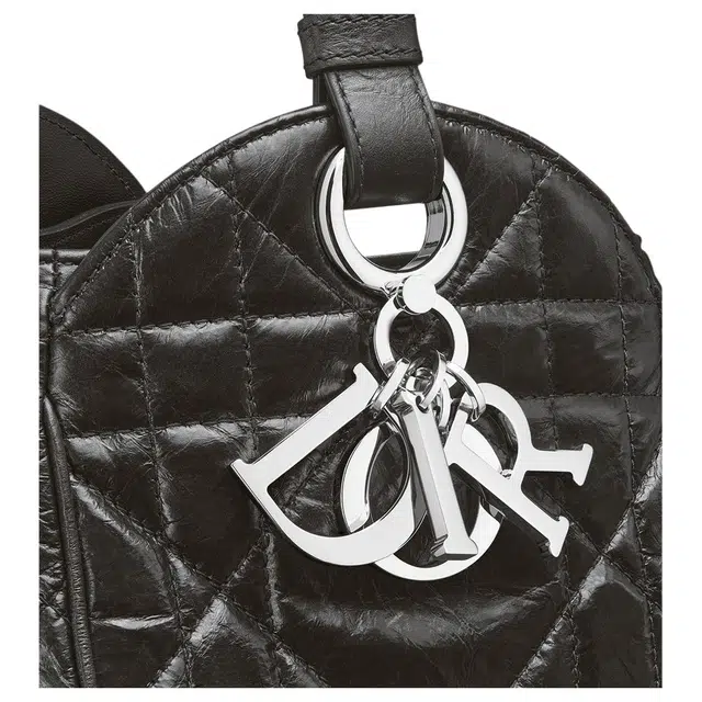 DIOR D-Motion