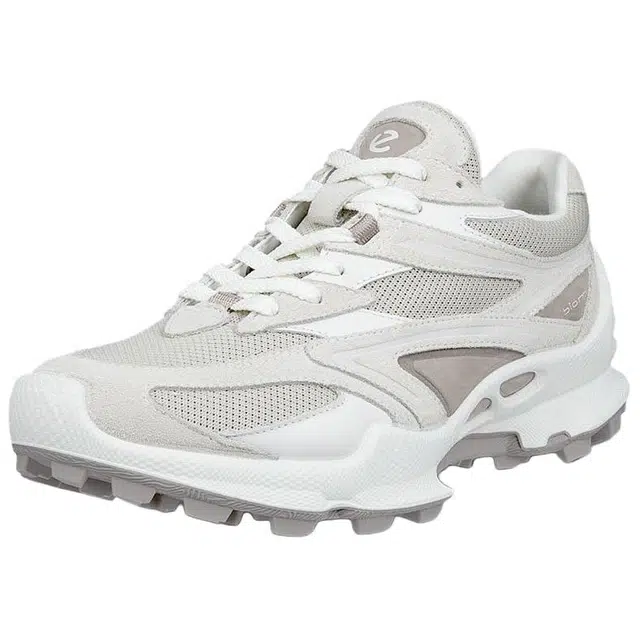 ecco Biom C Trail