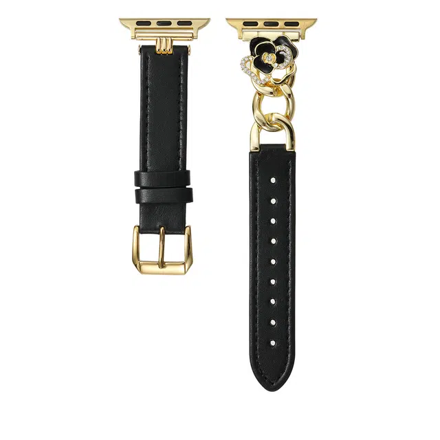 TooGowa applewatchiwatch10