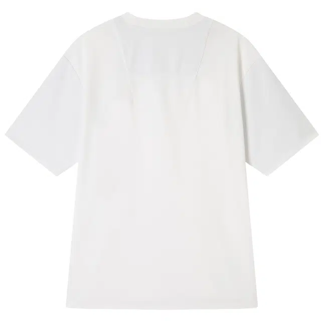 NPC T