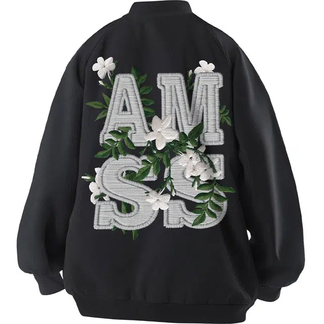 AIMISS Logo