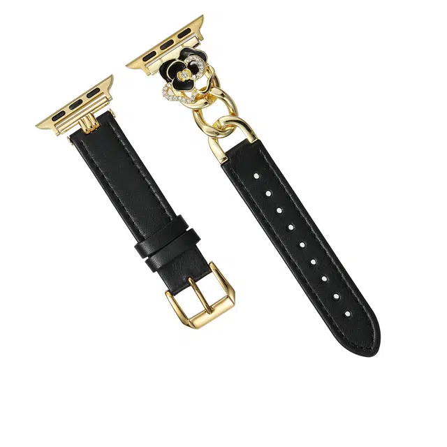 TooGowa applewatchiwatch10