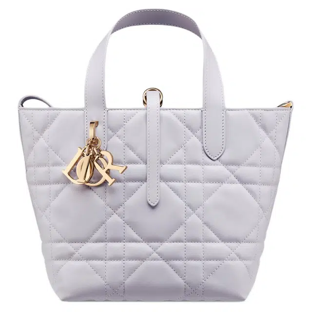 DIOR Toujours Tote