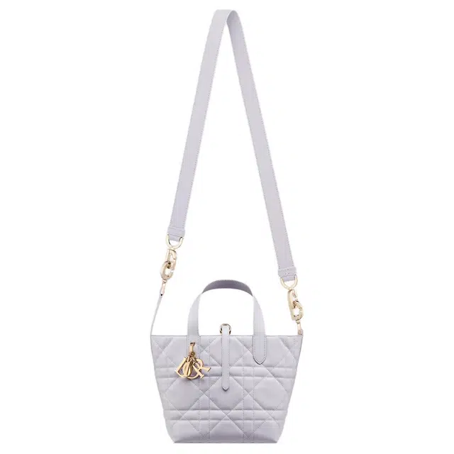 DIOR Toujours Tote