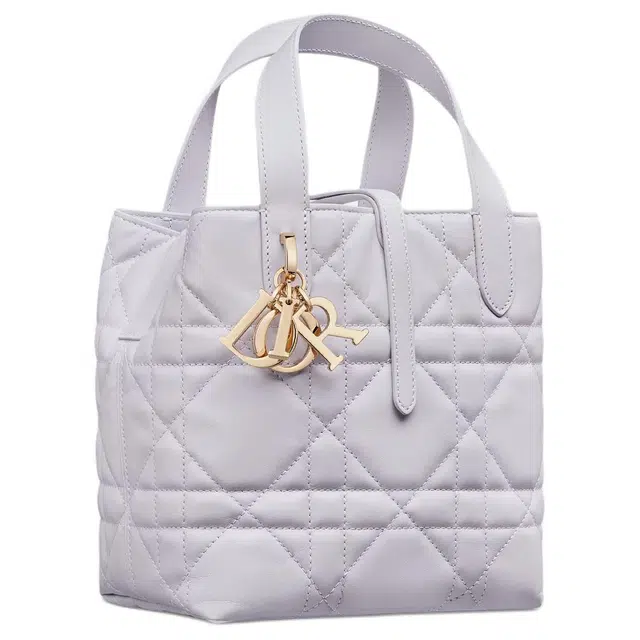 DIOR Toujours Tote