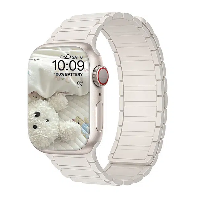 ZS 219mm Apple Watch S7S8S9S10 iwatch
