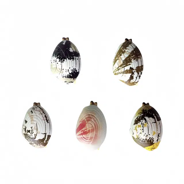 绒绒熊 蛤蜊花甲 仿真喷水 整蛊恶搞 创意玩具