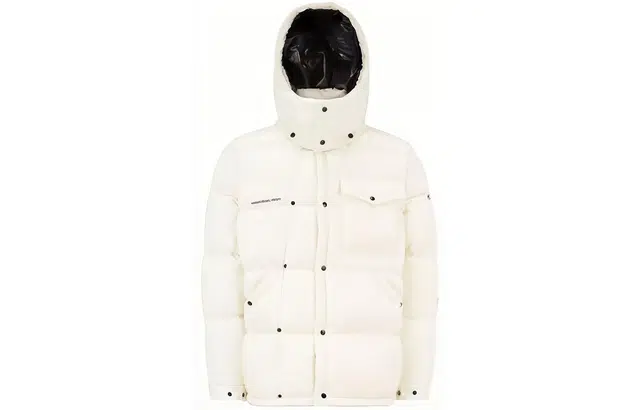 MONCLER GENIUS x FRGMT FW22 Anthemmium