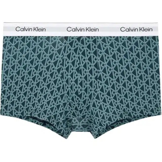 CALVIN KLEIN Logo 2