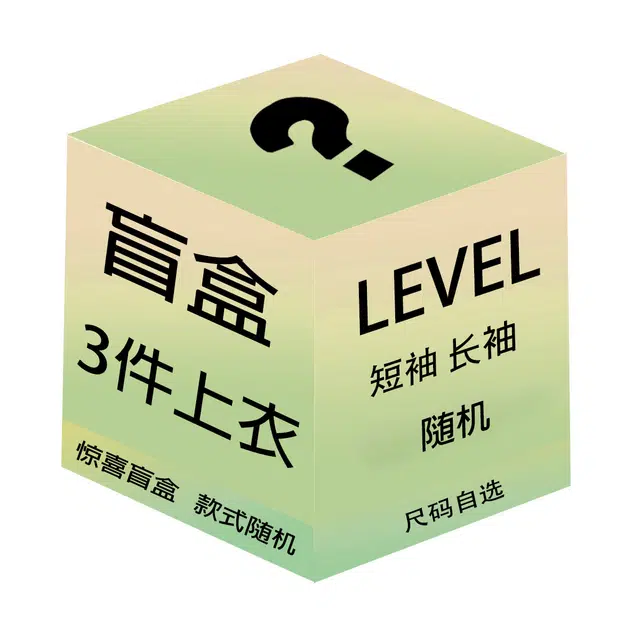 LEVEL 3