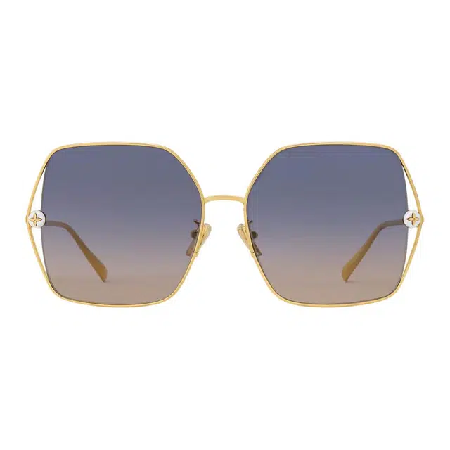 LOUIS VUITTON Monogram