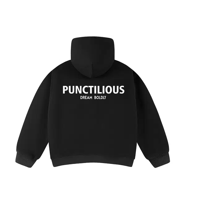 PUNCTILIOUS cleanfit