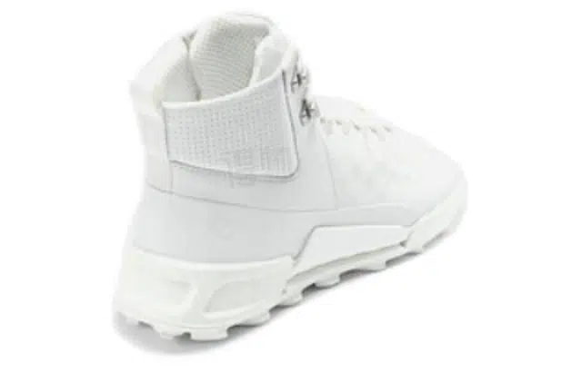 ecco 2.1