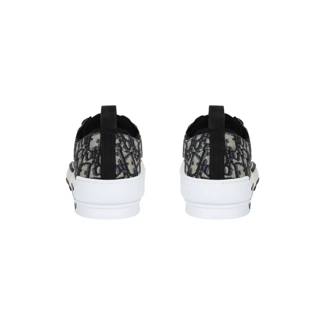 DIOR B23