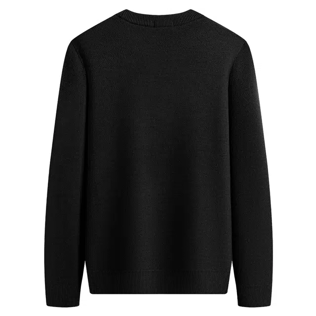 与狼共舞 轻奢羊毛时尚散点重工刺绣舒适保暖亲肤超柔软圆领套头毛衣 男款