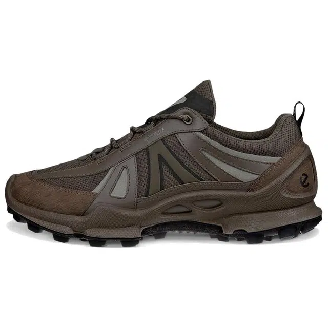 ecco Biom C Trail