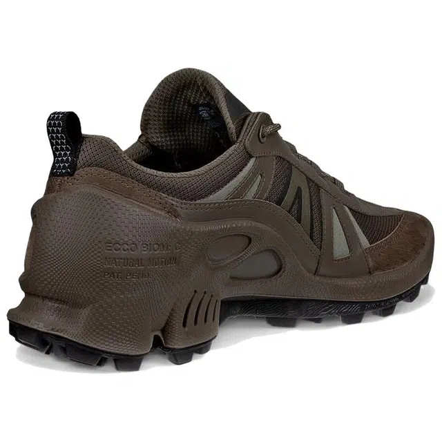 ecco Biom C Trail