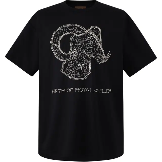 BIRTH OF ROYAL CHILD SS25 T