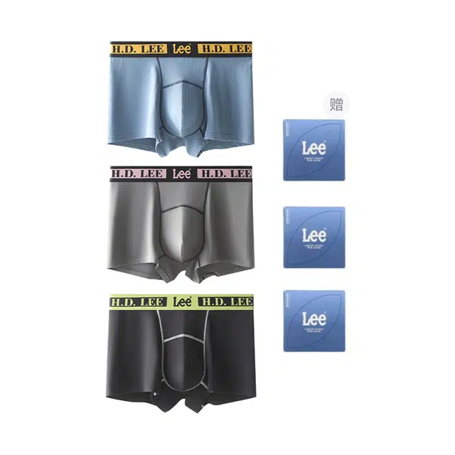 Lee 3