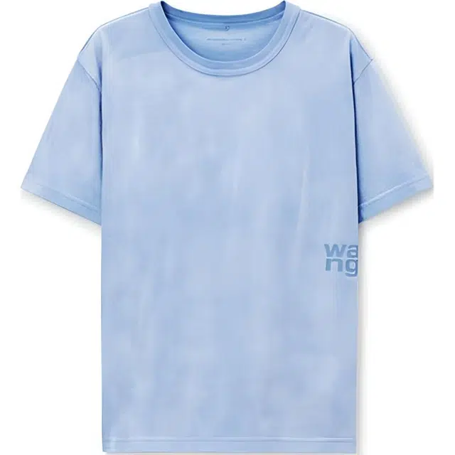 alexander wang FW24T
