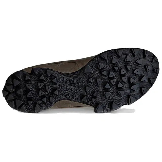 ecco Biom C Trail