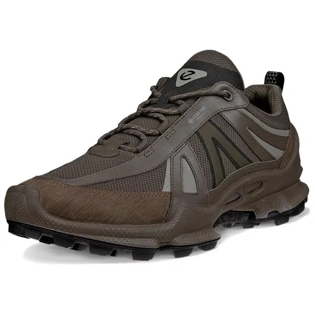 ecco Biom C Trail