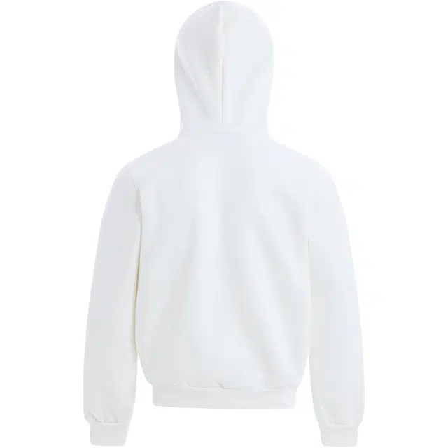 HIPHOPPUNKS cleanfit