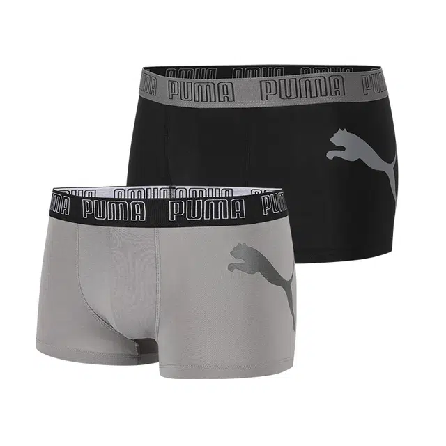 PUMA 2