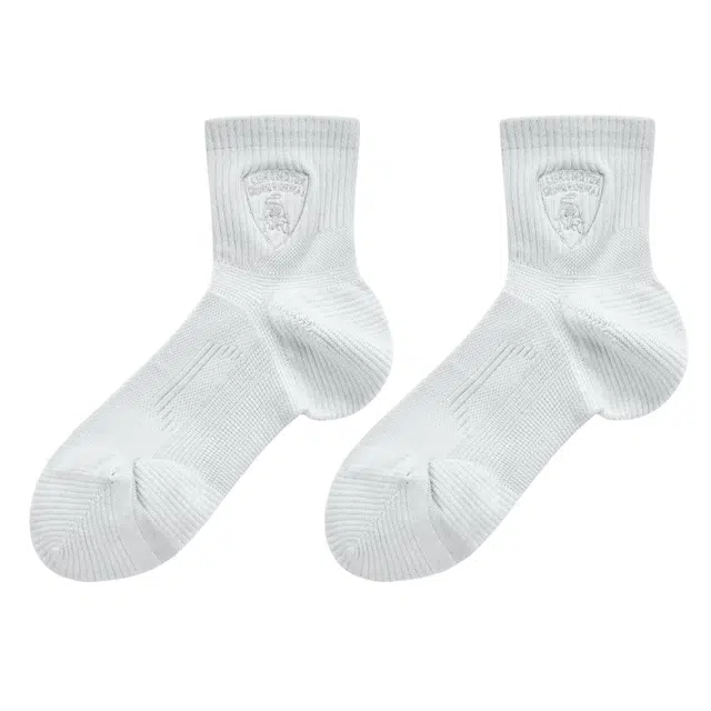 Automobili Lamborghini