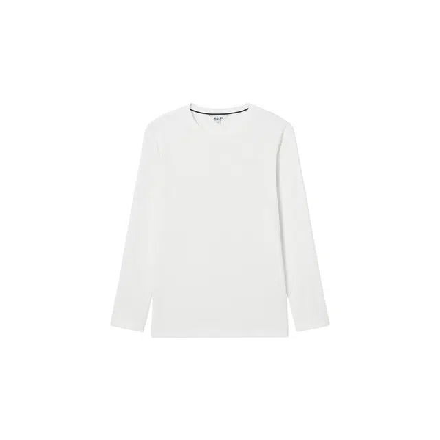 AIGLE T