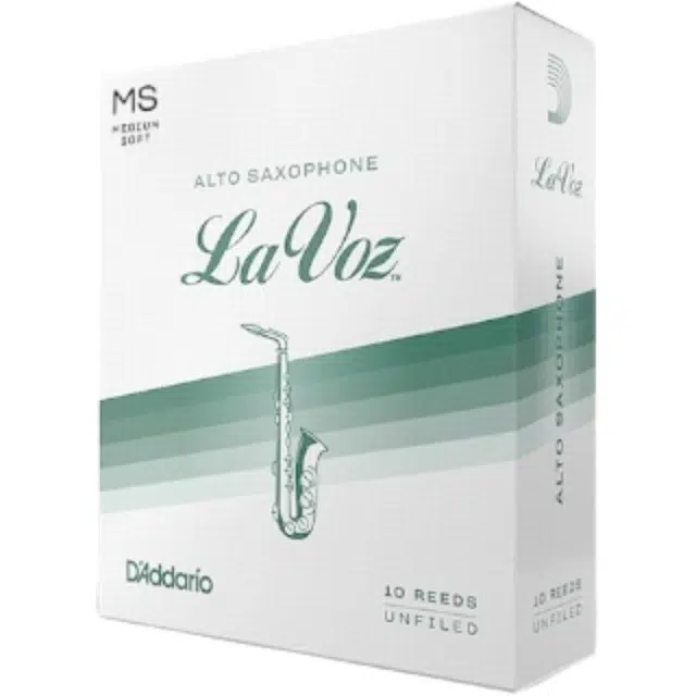 D'Addario LaVoz. Rico