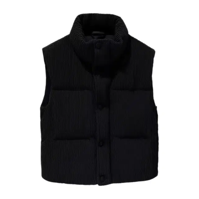 柏黛妃 加棉韩国纯色立领通勤马甲棉服 女款