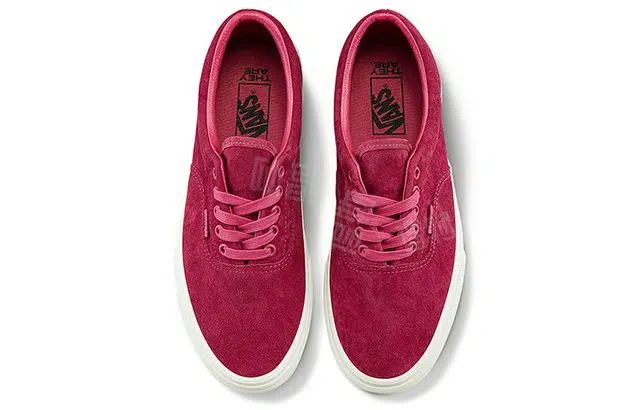 They Are x Vans Era