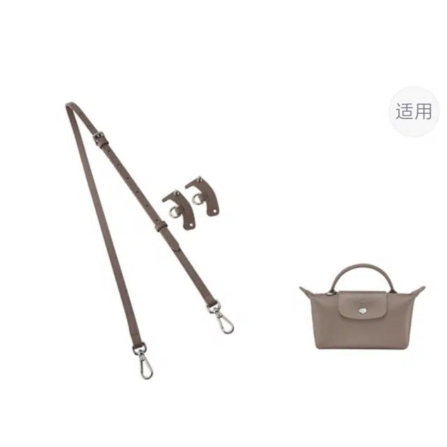 mini longchamp
