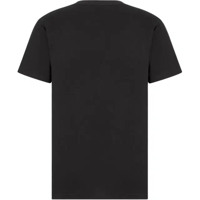 DIOR FW25 T