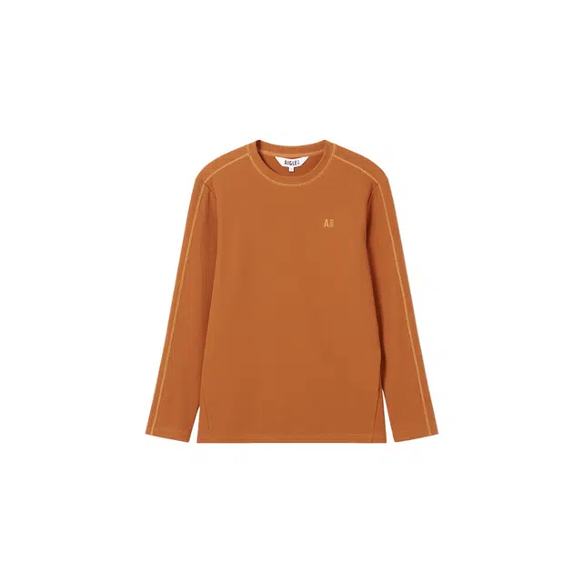 AIGLE T