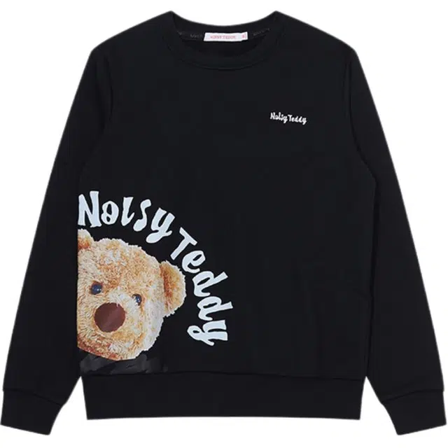 NOISY TEDDY