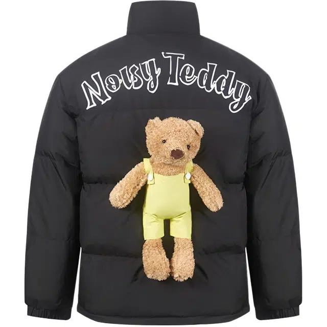 NOISY TEDDY