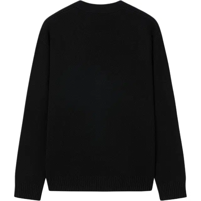 KARL LAGERFELD FW25 V