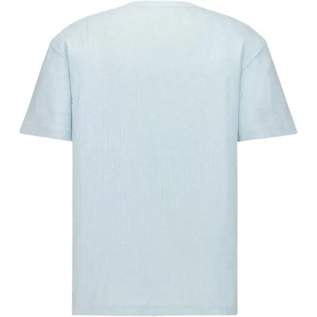 DIOR FW25 T