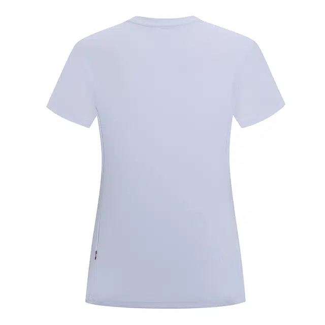 NORTHLAND PROFESSIONAL T