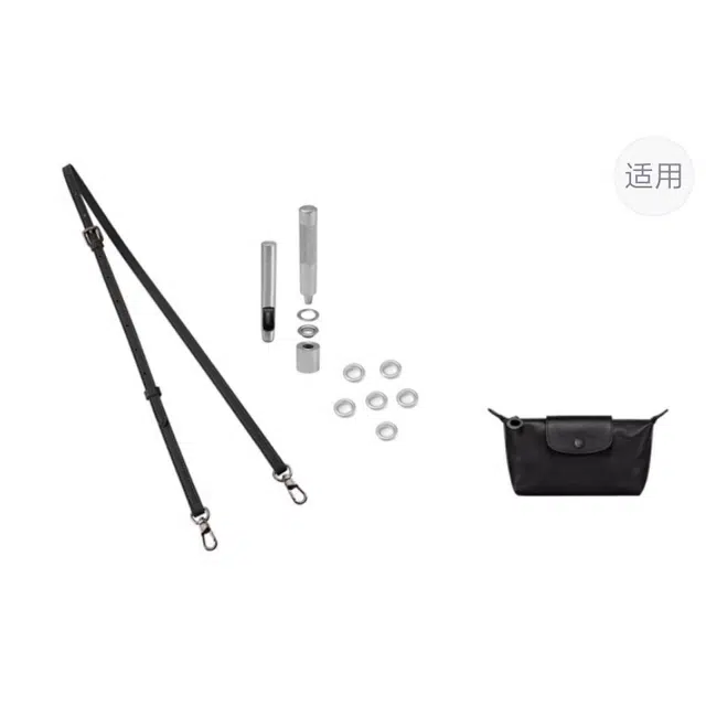 mini longchamp