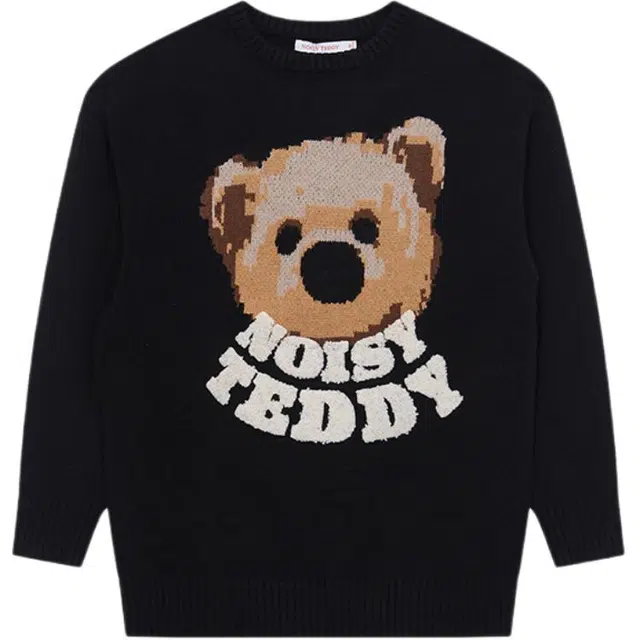 NOISY TEDDY