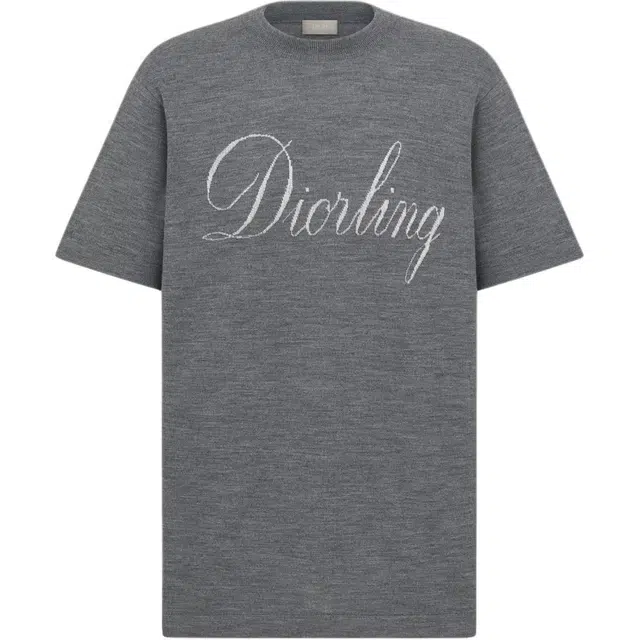 DIOR FW25 T