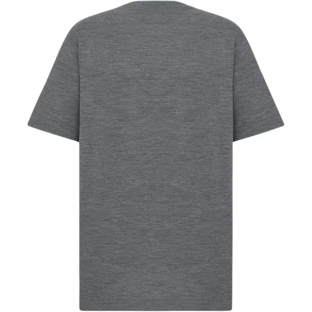 DIOR FW25 T