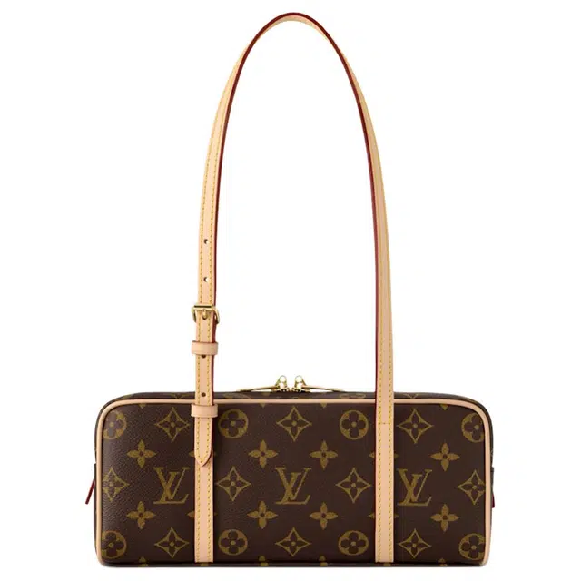 LOUIS VUITTON HANG ON Monogram