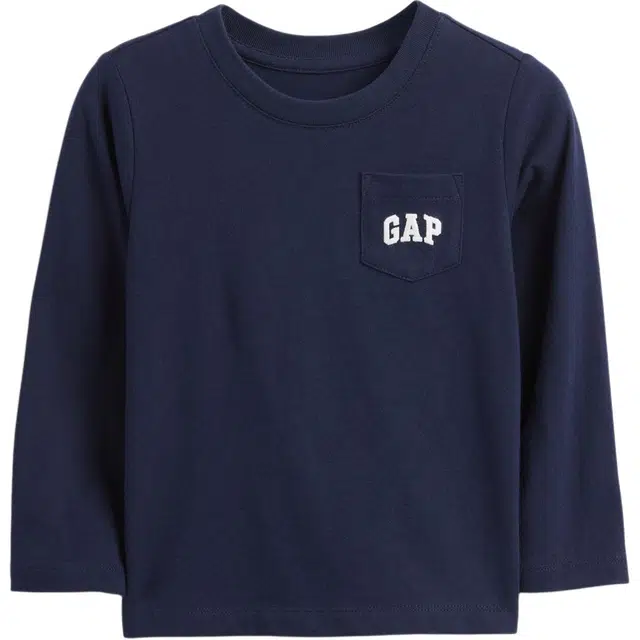 GAPTlogo